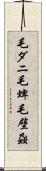 毛ダニ Scroll