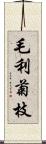 毛利菊枝 Scroll