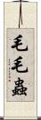 毛毛蟲 Scroll