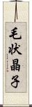 毛状晶子 Scroll