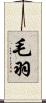 毛羽 Scroll