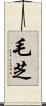 毛芝 Scroll