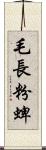 毛長粉蜱 Scroll