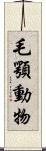 毛顎動物 Scroll