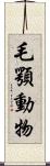 毛顎動物 Scroll