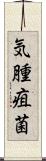 気腫疽菌 Scroll