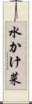 水かけ菜 Scroll