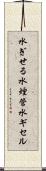 水ぎせる Scroll