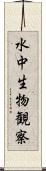 水中生物観察 Scroll