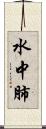 水中肺 Scroll