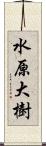 水原大樹 Scroll