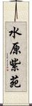 水原紫苑 Scroll