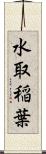 水取稲葉 Scroll