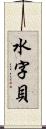 水字貝 Scroll