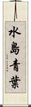 水島青葉 Scroll