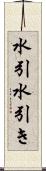 水引 Scroll
