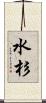 水杉 Scroll