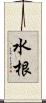 水根 Scroll