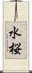 水桜 Scroll