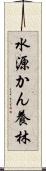 水源かん養林 Scroll