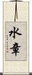 水章 Scroll