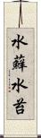 水蘚 Scroll