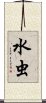 水虫 Scroll