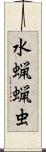 水蝋蝋虫 Scroll