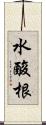 水酸根 Scroll