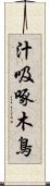 汁吸啄木鳥 Scroll