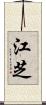 江芝 Scroll