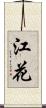 江花 Scroll