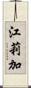 江莉加 Scroll