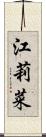 江莉菜 Scroll