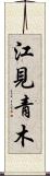 江見青木 Scroll
