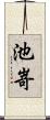 池嵜 Scroll