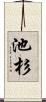 池杉 Scroll