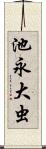 池永大虫 Scroll