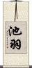 池羽 Scroll