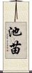 池苗 Scroll