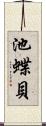 池蝶貝 Scroll