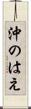 沖のはえ Scroll