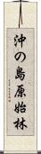 沖の島原始林 Scroll