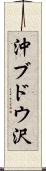 沖ブドウ沢 Scroll