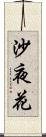 沙夜花 Scroll