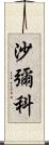 沙彌科 Scroll