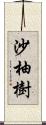 沙柚樹 Scroll