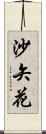 沙矢花 Scroll