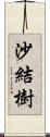沙結樹 Scroll