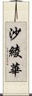 沙綾華 Scroll